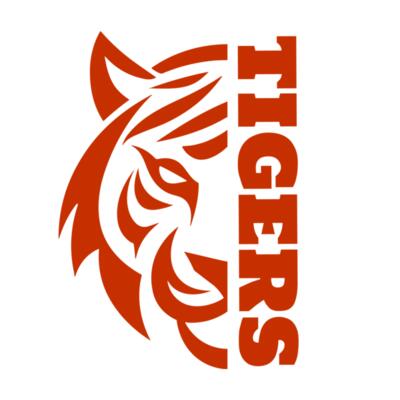 School Tigers 03 Thumbnail