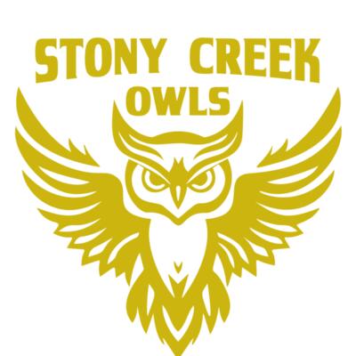 School Owls 04 Thumbnail